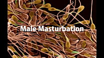 мастурбация киски sex