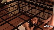 Amateur Bdsm Couple sex