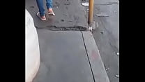 In Street sex