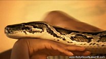 The Snake sex