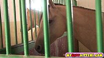 Horse Dildo sex