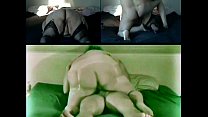 Big Ass Dick Riding sex