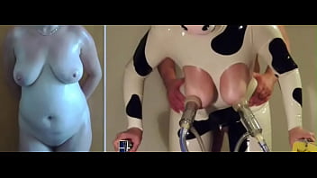Cow sex