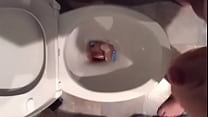 Toilet Wife sex