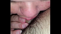 Swallows sex