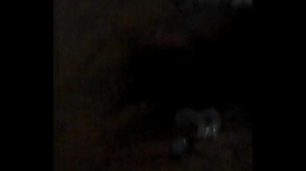 Vid sex