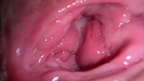 Loose Pussy Lips sex