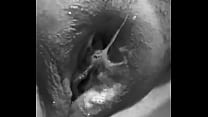 Oral Penis sex