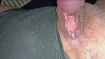 Shaved Cunt sex