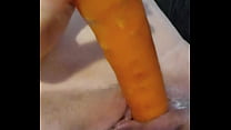 Zanahoria sex