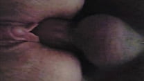 Amateur Pussy sex