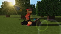 Minecraft sex