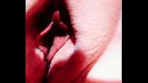 Pussy Lips sex