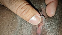 Shaved Pussy sex