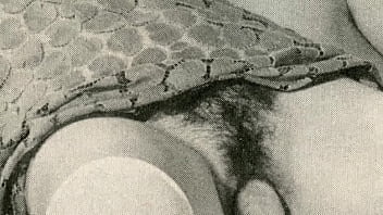 Vintage Taboo sex