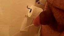 Toilet sex