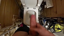 In Toilet sex