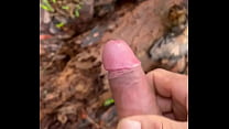 In Forest sex