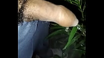 Piss Outdoors sex