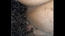 Dick Fucking Pussy sex