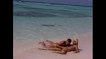 Anal Beach sex