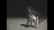 Nude Outdoor sex