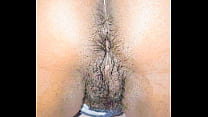 Black Hairy Pussy sex