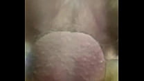 Cock In Pussy Close Up sex