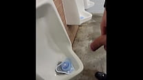 Public Bathroom sex