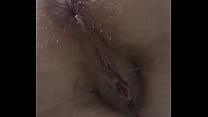 Hairy Wet Pussy sex