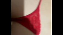 New Lingerie sex