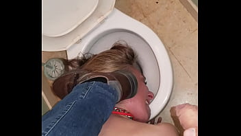 In Toilet sex