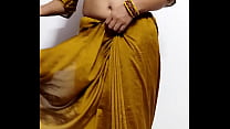 Saree sex