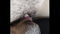 Pussy Fingering And Licking sex