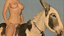 Equine sex
