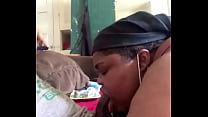 Ebony Bbw Blowjob sex