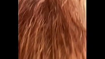 Wet Pussy Hair sex