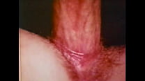 Cock In Pussy Closeup sex