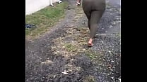 Fat Ass Latina sex