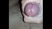 Leche Polla sex