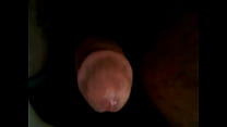 Penis sex
