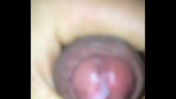 Free sex