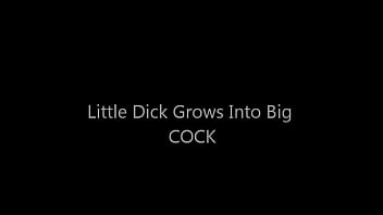 Littledick sex