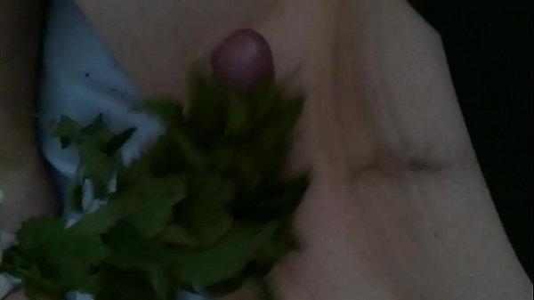 Free sex