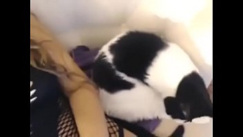 Pussy Webcam sex