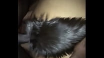 Black Fox Tail sex