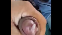 Pito Chico sex