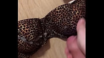 Leopard Lingerie sex