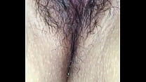 Amateur Hairy Wife sex