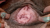 Hairy Vagina sex